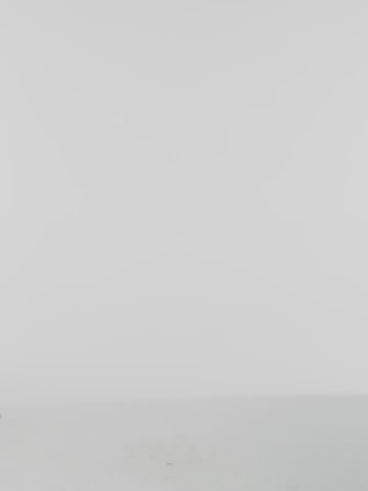 Solid light gray color swatch